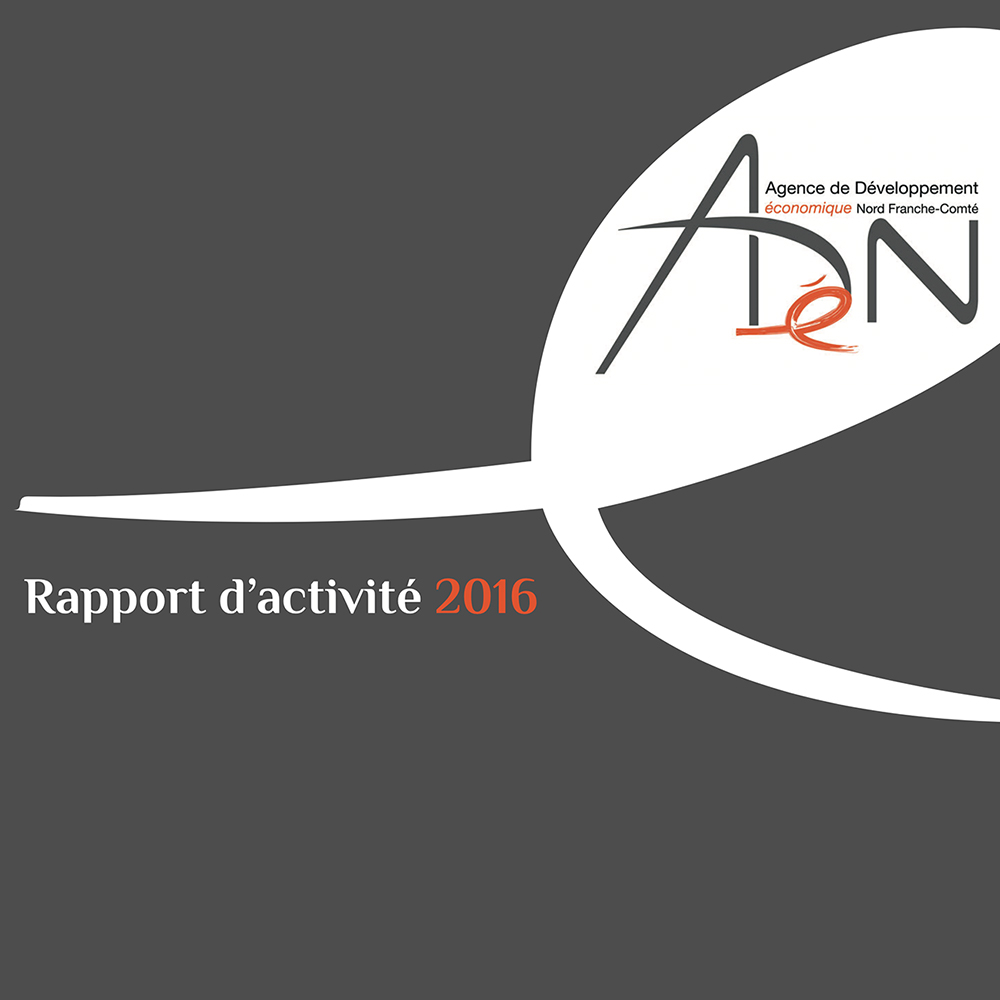 Anual report 2016