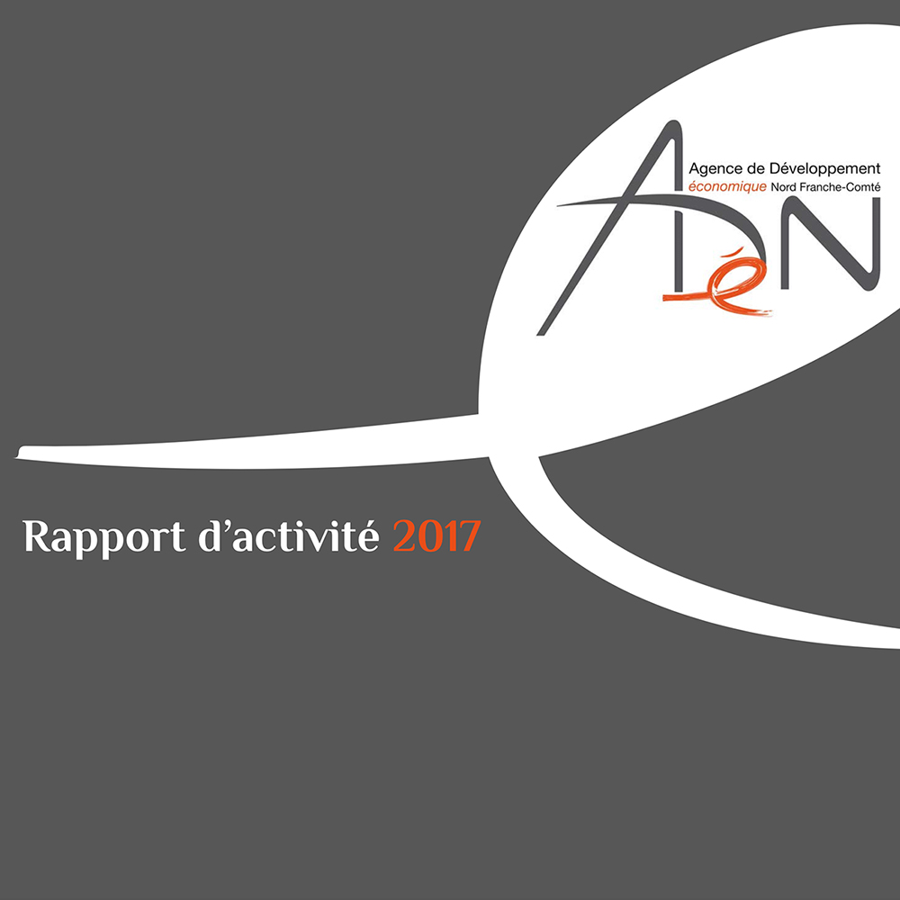 Rapport d'activité 2017