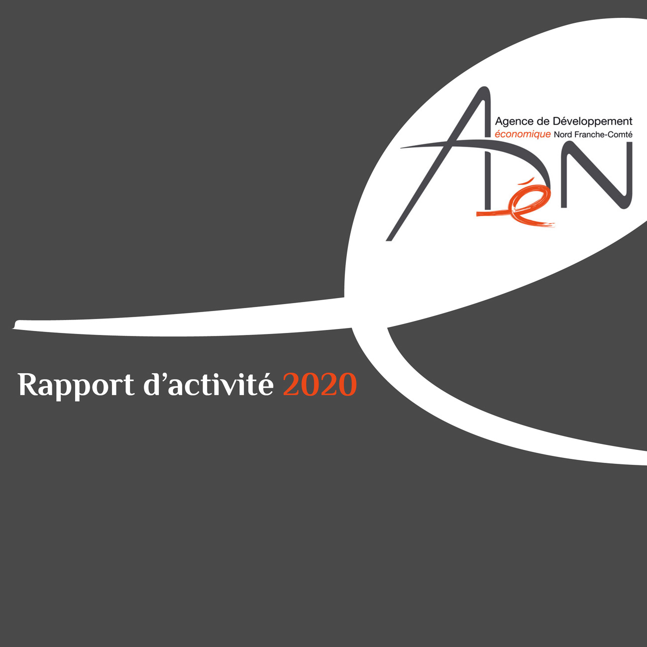 Rapport d'activité 2020
