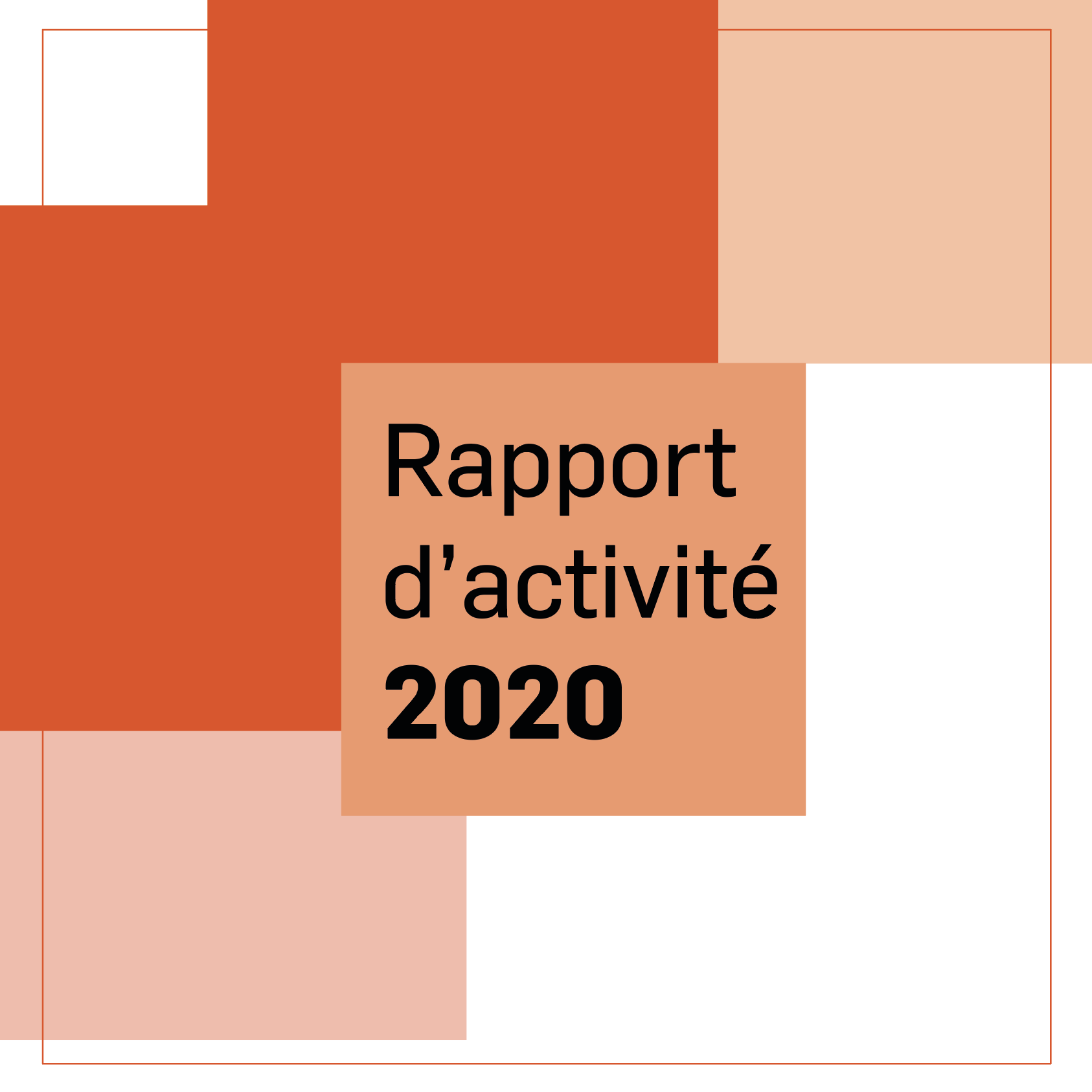 Rapport d'activité 2020